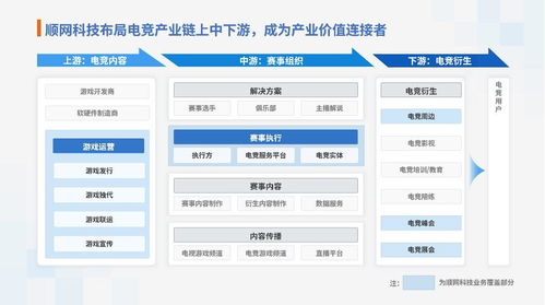 順網科技的300天 新生和突破