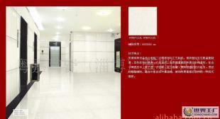 廠家直銷佛山歐萊克透晶磚800*800_建筑建材_世界工廠網(wǎng)中國(guó)產(chǎn)品信息庫(kù)
