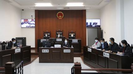 副市長(zhǎng)代表市政府出庭應(yīng)訴!佛山中院公開(kāi)審理一起行政訴訟案