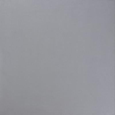 【佛山適合東南亞市場市場的瓷磚工廠】圖片_品牌_生產(chǎn)供應(yīng)商廠家-佛山市紅珠建材